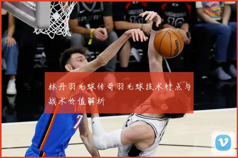 林丹羽毛球传奇羽毛球技术特点与战术价值解析