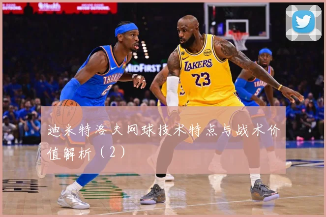 迪米特洛夫网球技术特点与战术价值解析（2）