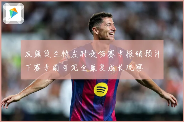 灰熊莫兰特左肘受伤赛季报销预计下赛季前可完全康复成长观察