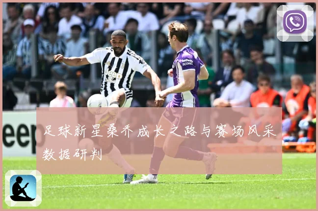 足球新星桑乔成长之路与赛场风采数据研判