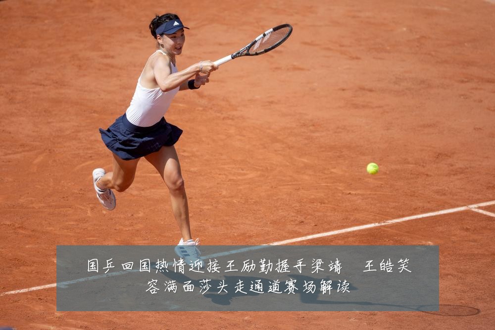 国乒回国热情迎接王励勤握手梁靖崑王皓笑容满面莎头走通道赛场解读