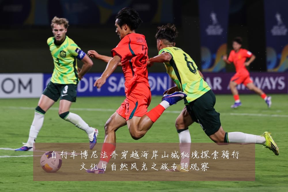 自行车博尼法乔穿越海岸山城秘境探索骑行文化与自然风光之旅专题观察
