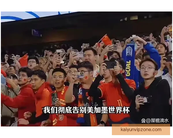 2026世界杯举办国家揭秘赛事看点与球迷期待全解析